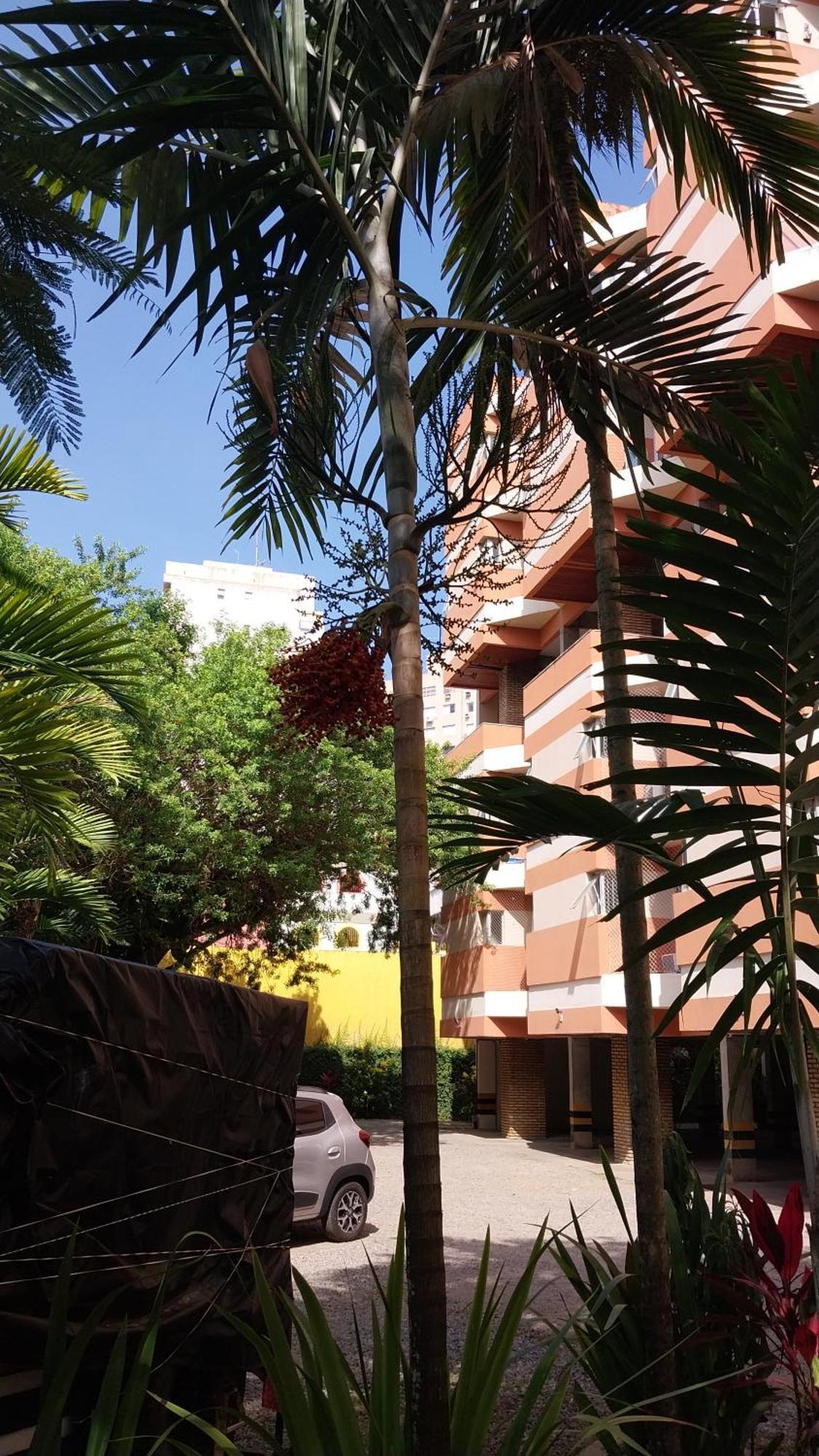 Apartamento Itaigara Salvador Buitenkant foto